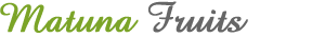 SP1